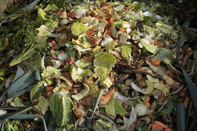 waste collection junk removal